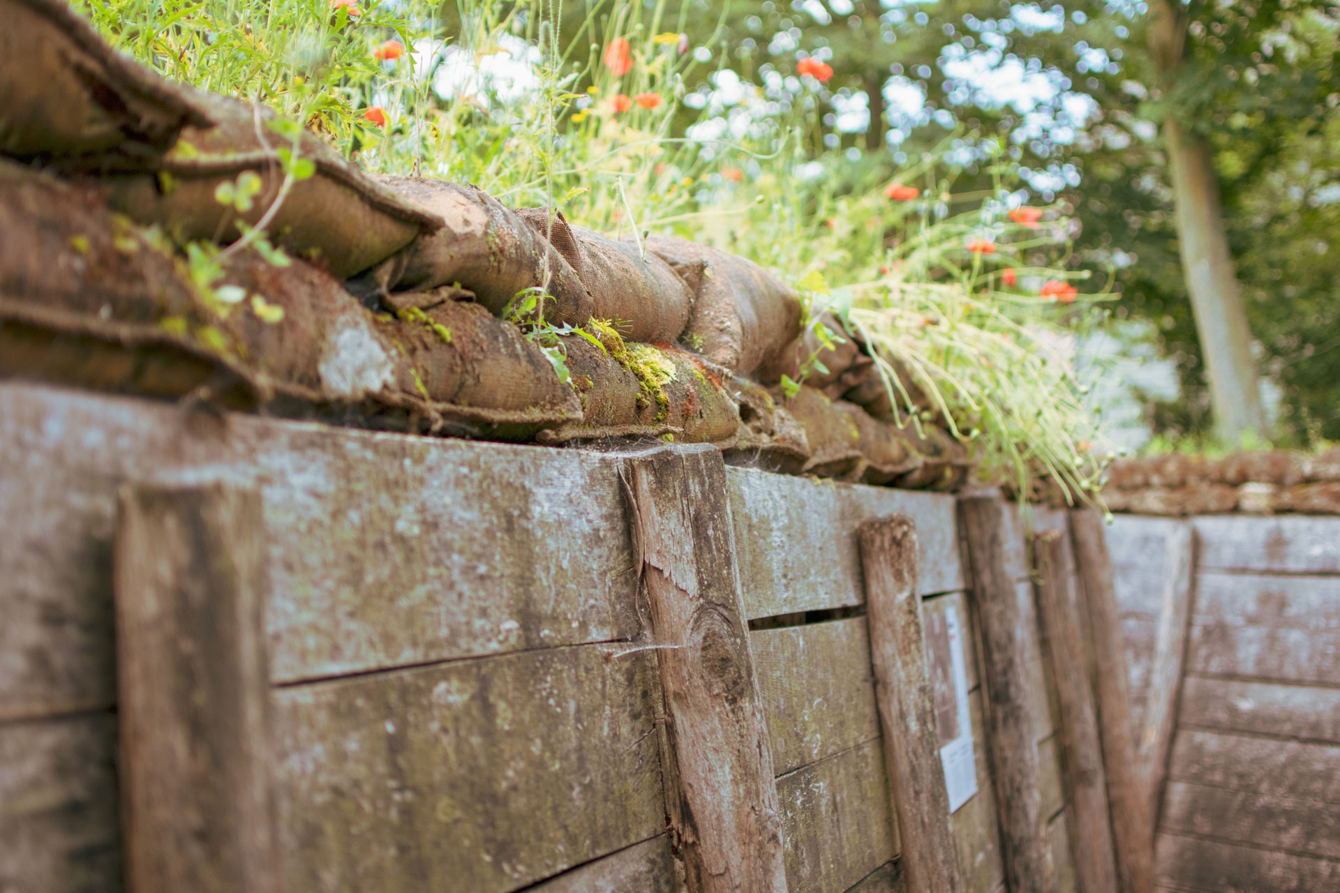 Tranchée d'un champs de bataille de la première guerre mondiale