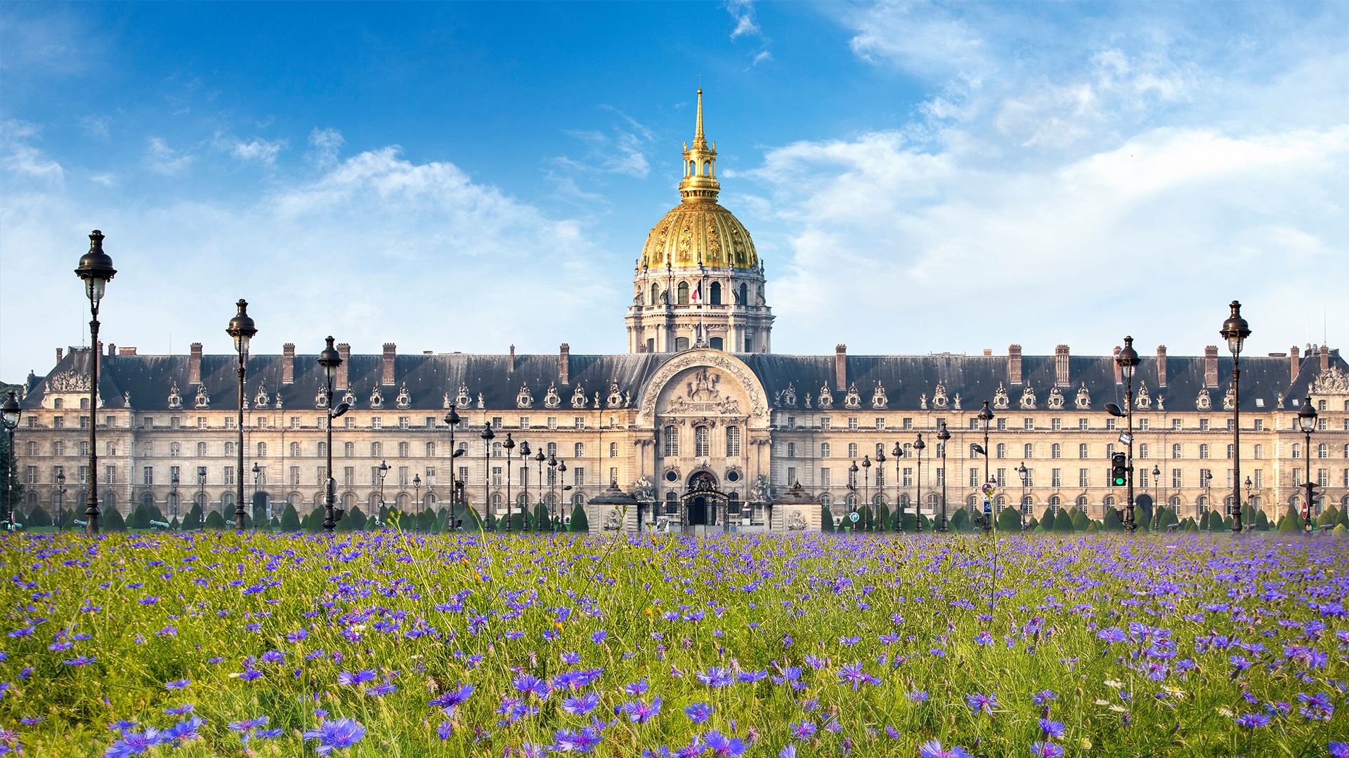 Référents départementaux
